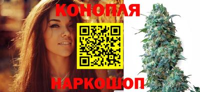 PSILOCYBIN Малоярославец