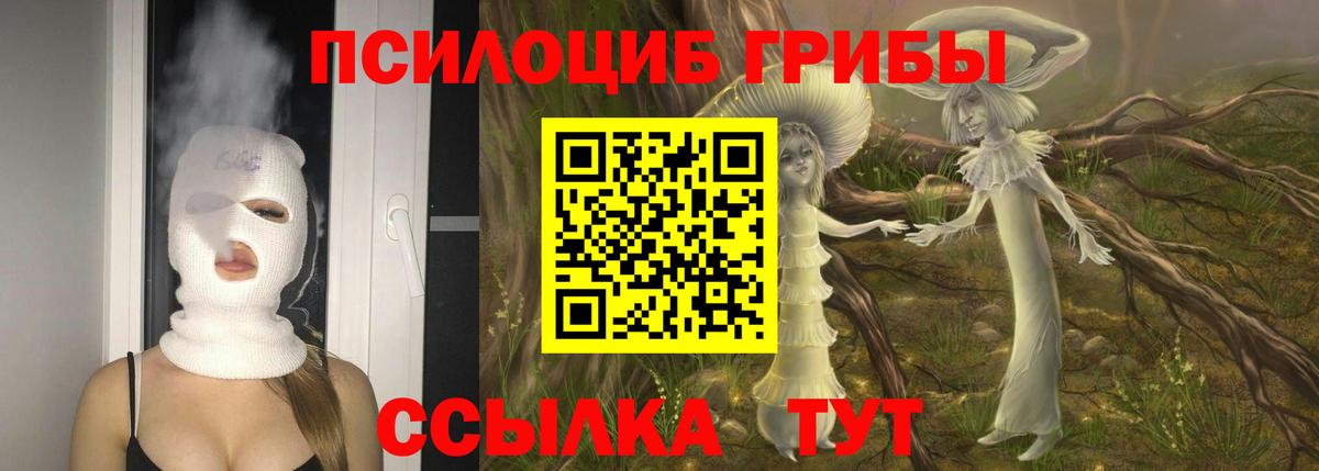 Галлюциногенные грибы Psilocybe  Вход с VPN  Урюпинск 